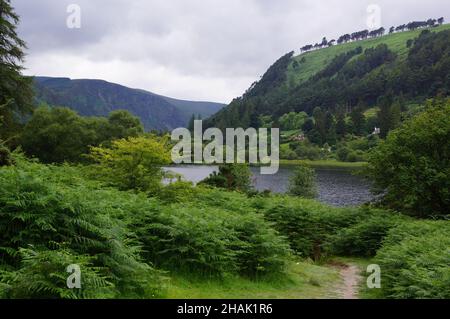 Glendalough, Grafschaft Wicklow (Irland): Eine malerische Aussicht auf den Lower Lake Stockfoto