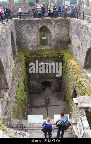 Blarney, Irland: Besucher im Schloss von Blarney Castle and Gardens Stockfoto