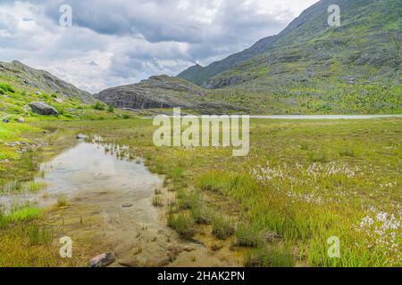 Hochmoor Sandersee im Nationalpark hohe tauern, Großglockner Stockfoto