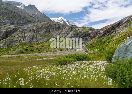 Hochmoor Sandersee im Nationalpark hohe tauern, Großglockner Stockfoto