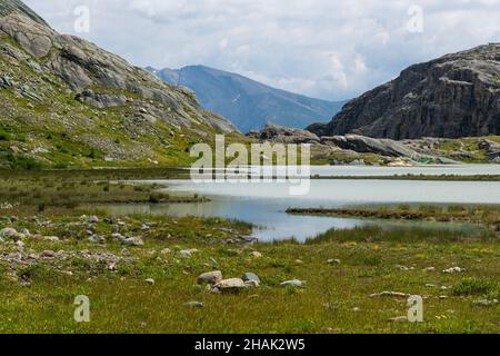 Hochmoor Sandersee im Nationalpark hohe tauern, Großglockner Stockfoto