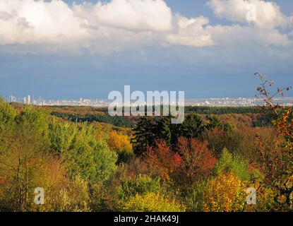 Luftaufnahme vom Zauberberg in Ruppertshain zum Laub um Frankfurt am Main Hessen an Einem schönen Herbsttag mit Klarem blauen Himmel Stockfoto