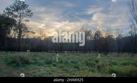 Sonnenuntergang über den Feuchtgebieten Stockfoto