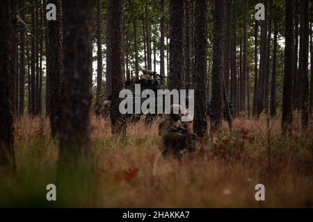 U.S. Marines with White Platoon, Bravo Company, 2nd Light Armored Reconnaissance Bataillon, 2nd Bataillon, 6th Marines, führen während Expeditionary Advanced Base Operations (EABO) an Bord des Marine Corps Base Camp Lejeune eine Patrouille durch, 5. Dezember 2021. EABO ist eine neue Mission wesentliche Aufgabe; MEU's werden ihre Fähigkeit testen, eine kleine Präsenz an Land zu halten, während sie ihre Operationen in der Amphibious Ready Group aufrechterhalten. (USA Marine Corps Foto von CPL. Armando Elizalde) Stockfoto