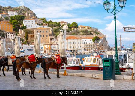 Pferde warten auf Touristen entlang der Ägäis am malerischen Fischerhafen der griechischen Insel Hydra, Griechenland. Stockfoto