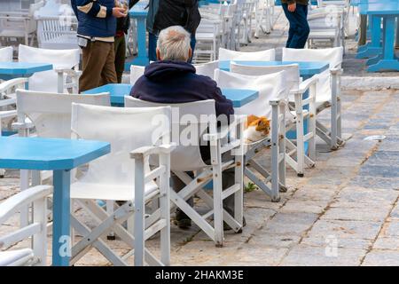 Ein älterer griechischer Fischer sitzt mit einer orangen und weißen Katze auf der griechischen Insel Hydra an einem Tisch in einem Café im Freien. Stockfoto