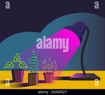 Haus Gartenanlagen unter purpurem Licht der Phyto-Lampe. Vektorgrafik im einfachen Cartoon-Stil. Stock Vektor