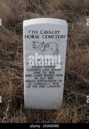 Grabstein für die 7th Kavalleriepferde, die bei der Little Bighorn Battle während der Indianerkriege 1876 ums Leben kamen. Stockfoto