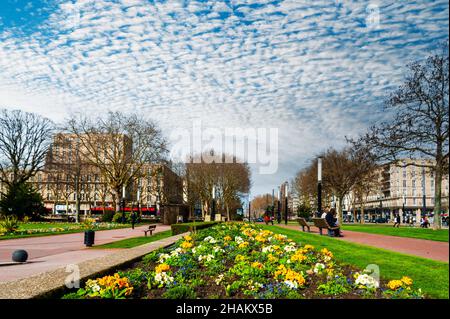 Farbenfrohe Blumen im Jardins de l' Hotel de Ville, Le Havre, Frankreich. Stockfoto