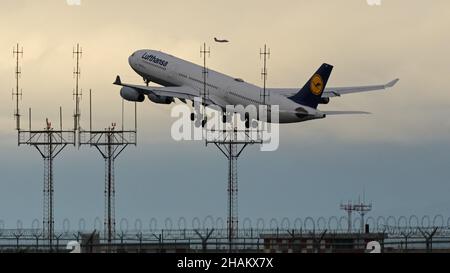 Richmond, British Columbia, Kanada. 11th Dez 2021. Ein Lufthansa Airbus A340-300 (D-AIGZ) startet vom internationalen Flughafen Vancouver. (Bild: © Bayne Stanley/ZUMA Press Wire) Stockfoto