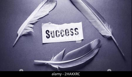 Textschild zeigt , Business Success Wörter mit Konzept-Idee Stockfoto