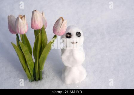 Schneemann mit Frühlingsblumen Tulpen. Fröhlicher Schneemann am sonnigen Wintertag. Stockfoto