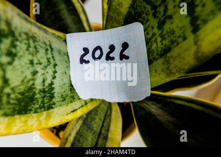 Neues Jahr 2022. Die Zahl 2022 ist auf ein Stück Papier geschrieben und liegt auf den grünen Blättern einer Hauspflanze. Stockfoto