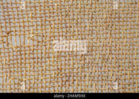 Hintergrund aus Rattan- oder Korbgewebe Stockfoto