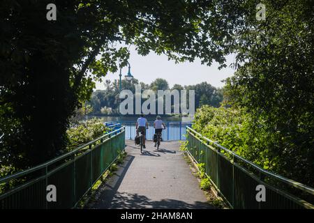 Mülheim an der Ruhr, Nordrhein-Westfalen, Deutschland - Saarn-Mendener Ruhraue, grünes Ruhrgebiet. Radfahrer fahren auf dem Fuß- und Radweg der R Stockfoto