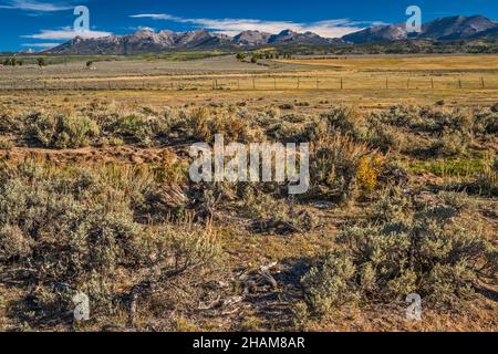 Wind River Range, betaste Steppe, Blick von der Lander Cutoff Road (CR 132), nach Continental Divide, Wyoming, USA Stockfoto