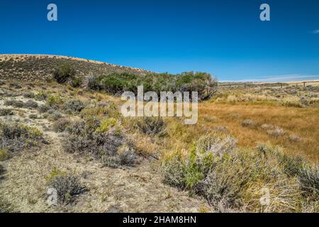 Wasserquelle Oase auf dem Bush Rim, Klippe in Red Desert, Alkali Draw Wilderness Study Area, Bar X Road (CR 21), Great Divide Basin, Wyoming, USA Stockfoto