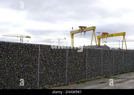 Harland und Wolf Shipyard Kräne. Oktober 2018, Belfast, Nordirland Stockfoto