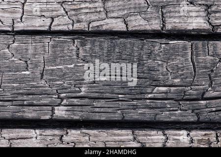 Strukturierter monochromer Hintergrund aus rauem verbranntem Holz in dunkler Farbe mit Rissen in Reihen Stockfoto