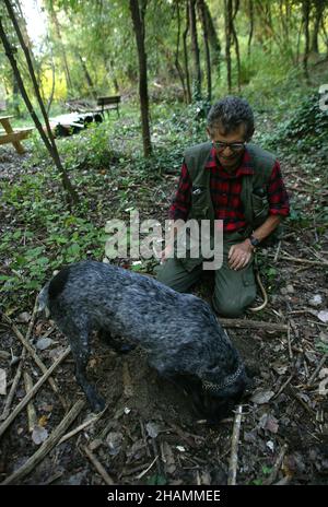 Trüffeljäger, 'Trifulau' Renato Agnello mit seinem Hund Renato auf der Suche nach Trüffeln in den Außenbezirken von Alba, Italien Stockfoto