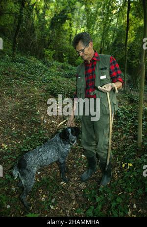 Trüffeljäger, 'Trifulau' Renato Agnello mit seinem Hund Renato auf der Suche nach Trüffeln in den Außenbezirken von Alba, Italien Stockfoto