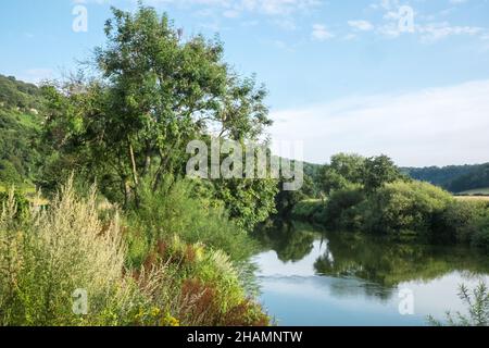 Huntsman Bridge,Huntsman Bridge Camping,Camp,Camping,site,gelegen,neben,River Wye,gelegen im Wye Valley Gebiet von außergewöhnlicher natürlicher Schönheit, befindet sich Huntsham Bridge Camping in einer atemberaubenden Lage am Ufer des Flusses Wye zwischen Goodrich und Symonds Yat. Unser Campingplatz liegt in Reichweite des Forest of Dean und vor der Haustür gibt es viel zu tun, einschließlich Kanufahren, Kajakfahren, Paddle Boarding, Wildschwimmen, Radfahren, Klettern und Wandern (Zugang zum Fluss vom Gelände). Geeignet für Zelte und kleine ‘VW’ große Wohnmobil, da es sich um einen kleinen, freundlichen Campingplatz handelt. Stockfoto