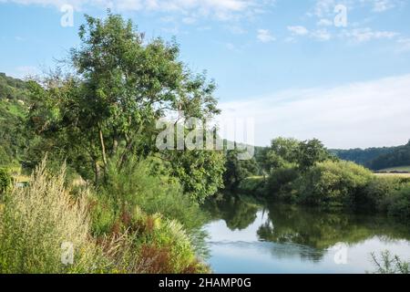 Huntsman Bridge,Huntsman Bridge Camping,Camp,Camping,site,gelegen,neben,River Wye,gelegen im Wye Valley Gebiet von außergewöhnlicher natürlicher Schönheit, befindet sich Huntsham Bridge Camping in einer atemberaubenden Lage am Ufer des Flusses Wye zwischen Goodrich und Symonds Yat. Unser Campingplatz liegt in Reichweite des Forest of Dean und vor der Haustür gibt es viel zu tun, einschließlich Kanufahren, Kajakfahren, Paddle Boarding, Wildschwimmen, Radfahren, Klettern und Wandern (Zugang zum Fluss vom Gelände). Geeignet für Zelte und kleine ‘VW’ große Wohnmobil, da es sich um einen kleinen, freundlichen Campingplatz handelt. Stockfoto