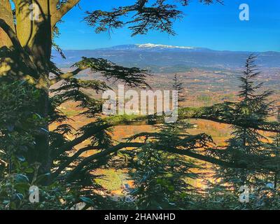 Blick auf den Mont Ventoux Stockfoto