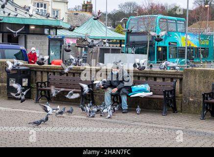 Truro, Großbritannien,14th. Dezember 2021,Ein Einheimischer sitzt am Markttag in Truro, Cornwall, bei der Fütterung der Tauben. Er kann oft gesehen werden, wie er sie an verschiedenen Orten am Lemon Quay füttert. Das Wetter war bewölkt, aber mild für die Jahreszeit um 12C Uhr und eine leichte Brise.Quelle: Keith Larby/Alamy Live News Stockfoto