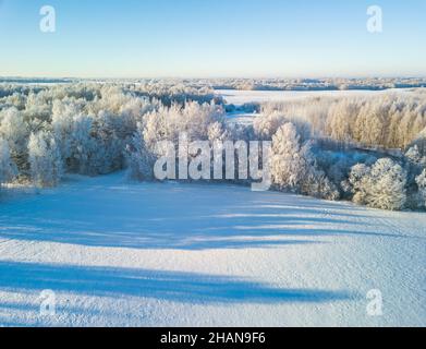 Fabelhafte Luft Winterlandschaft Hintergrund von Frost auf Ästen, extrem kalten Umgebungsbedingungen, kalten Wintertag mit Sonnenlicht Stockfoto