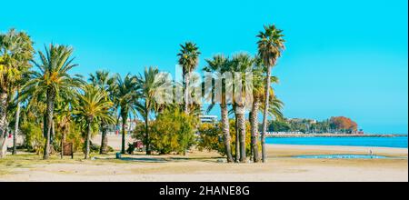 Oase mit Palmen am Strand Platja del Regueral, auch bekannt als Platja del Prat den Fores, in Cambrils, Spanien, an der Costa Daurada Küste, in einem Stockfoto