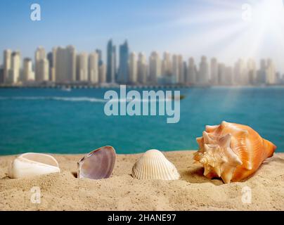 Nahaufnahme von Muscheln auf Sand am Strand. Meer, Wolken und blauer Himmel als Hintergrund. Sommerkonzept mit Kopierplatz. Stockfoto