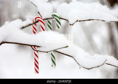 Weihnachtsbonbons hängen an einem mit Schnee bedeckten Baumzweig. Feen Winterwald, Hintergrund für Neujahrsfeier, kaltes Wetter Stockfoto