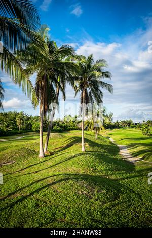 Pfad auf einem redundanten Golfplatz bei Sonnenaufgang auf Grand Cayman, Cayman Islands Stockfoto