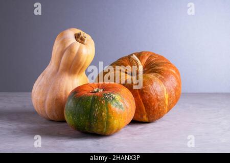 Drei frische reife Kürbisse auf grauem Hintergrund Stockfoto