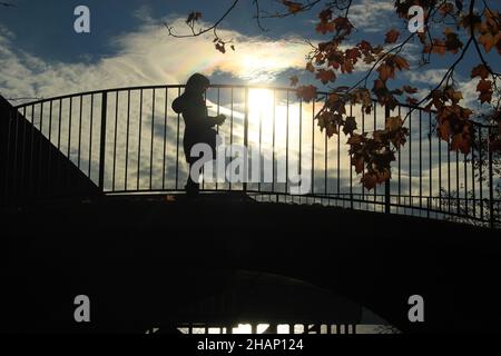 Silhouette einer Frau auf einer Brücke im Herbst (Zürichsee, Schweiz) Stockfoto