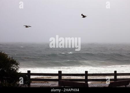 Laguna Beach, Kalifornien, USA. 14th Dez 2021. Stürmische See am Hauptstrand von Laguna, wenn das nasse Wetter in Orange County eintrifft. Starke Regenfälle haben Los Angeles County, Orange County und das Inland Empire durchtränkt, mit dem Potenzial für Sturzflutungen in einigen Gebieten, sagten die Behörden. Der schwerste Regen wurde im San Fernando Valley und L.A. absorbiert County Berge und Vorgebirge, mit einigen Gebieten bereits mehr als drei Zoll Niederschlag nach dem National Weather Service. Blitzflutwachen waren in feuerverbrannten Narbenbereichen in Kraft. (Bild: © Ruaridh Stewart/ZUMA Press Wire) Stockfoto