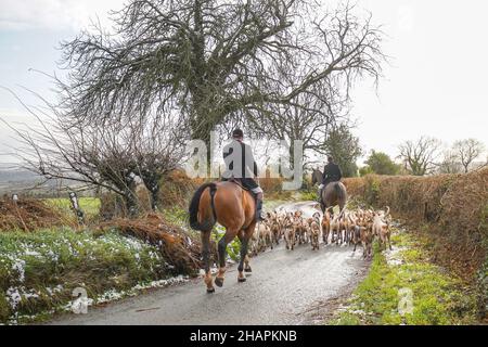 Britische Fuchsjagd im Winter; Rückansicht des Jägermeisters auf seinem Pferd, umgeben von Rudel Fuchshunden in einer ländlichen Gasse. Stockfoto