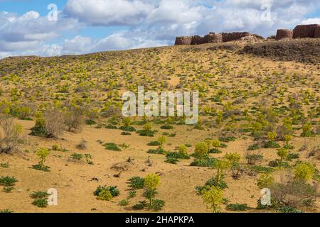 Festung Ayaz Qala in der Kyzylkum Wüste, Usbekistan Stockfoto