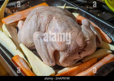 Ein Huhn in einem Bräter, vorbereitet und bereit für den Ofen, wo es mit geschnittenen Pastinaken und Karotten gebraten wird. Stockfoto