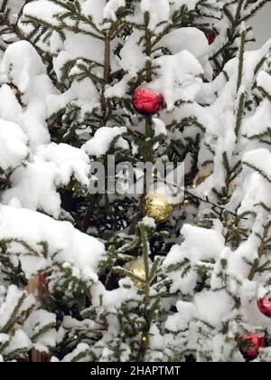 Schneebedeckter Weihnachtsbaum mit weihnachtskugeln und Lichtern Vorderansicht aus nächster Nähe Stockfoto