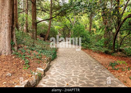 Ein alter Park mit dichter Vegetation und einem Fußgängerweg Stockfoto