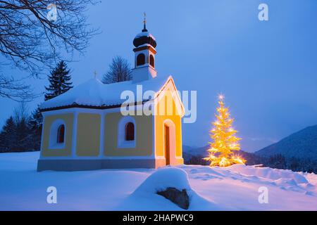 Kleine Kapelle mit Weihnachtsbaum, Krun, Bayern, Deutschland Stockfoto