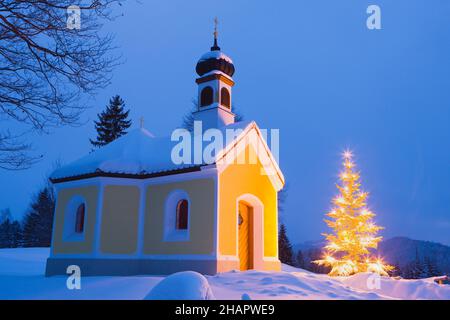 Kleine Kapelle mit Weihnachtsbaum, Krun, Bayern, Deutschland Stockfoto