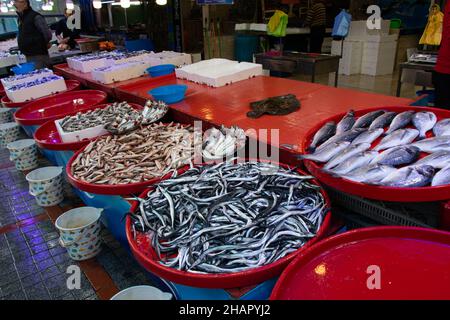 Schwarzmeeres. Fischmarkt in Rize Stadt der Türkei. Verschiedene Arten von Fischen auf der Vitrine des Marktes. Stockfoto