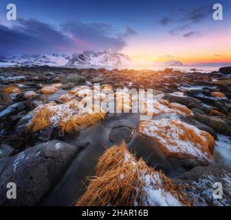 Steine mit gelbem Gras im Eis am Strand, verschneite Berge Stockfoto