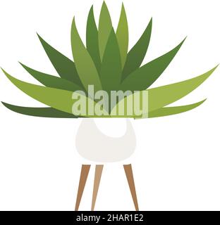 Grünhausanlage. Sukulent im Topfständer. Gartenarbeit im Innenbereich Stock Vektor