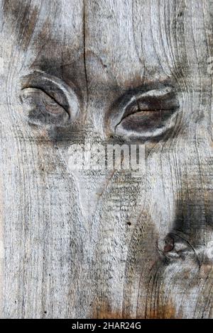 Gruselig aussehendes anthropmorphisches Gesicht in Holzbank Sitz verursacht durch die Knoten im Holz. Ein Konzeptbild, das die Augen haben Stockfoto