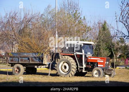 Traktor mit Anhänger gefüllt mit alten Zweigen im Park geparkt Stockfoto