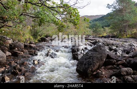 Die Stromschnellen des Strontian River, die durch die alten Eichenwälder von Ariundle führen, einem Naturschutzgebiet, das Besucher nach Strontian, Westschottland, anzieht Stockfoto